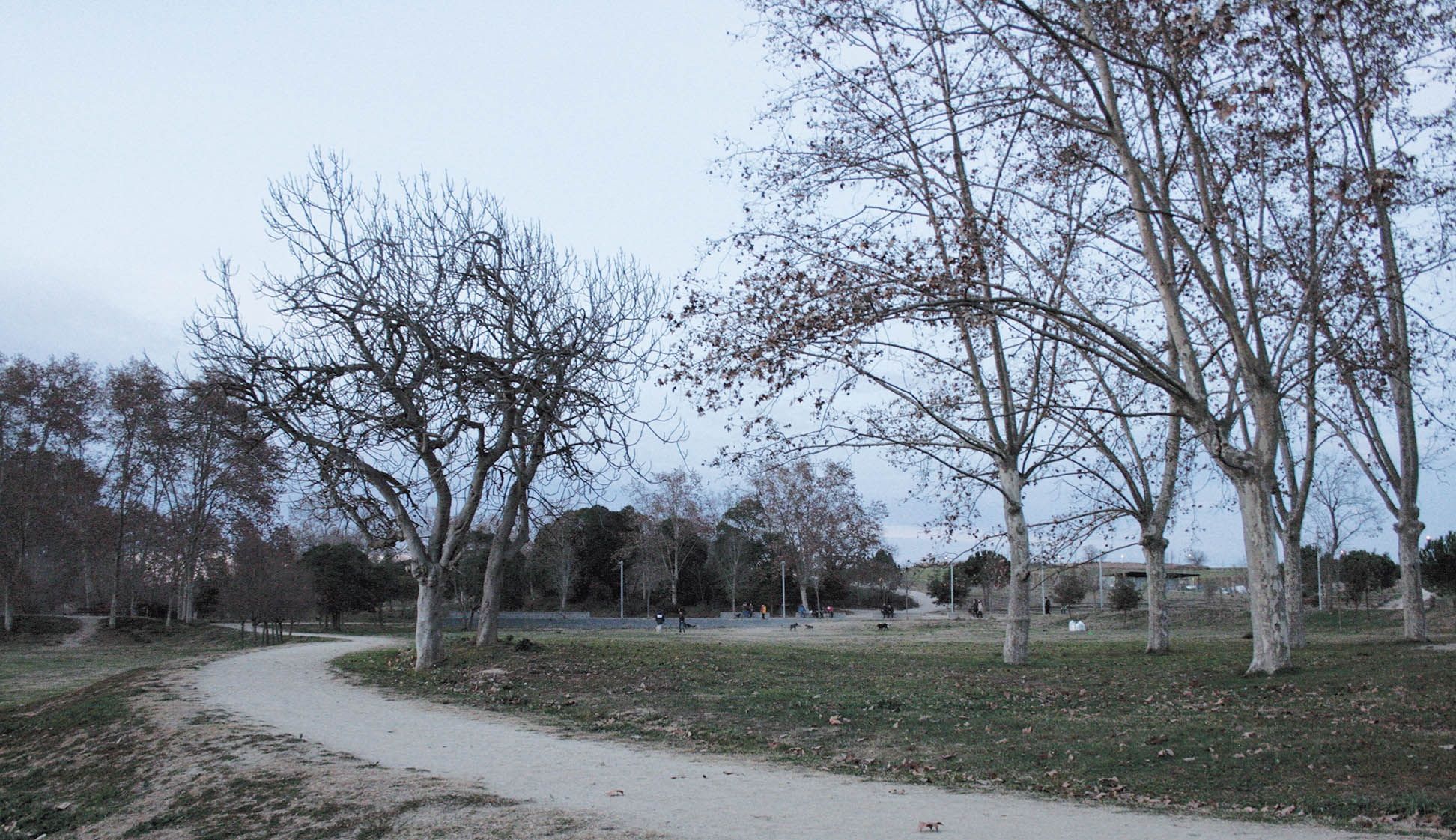 e3d995a152e18bb86fa197fdc98b26b8