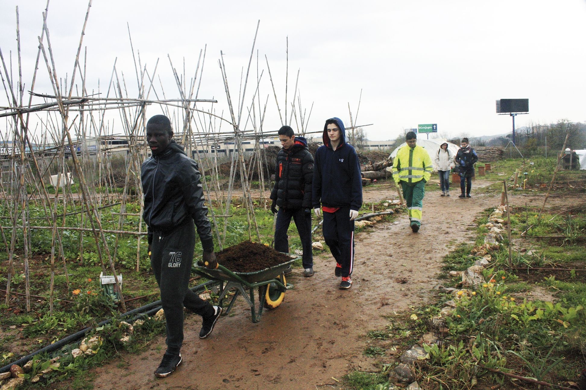 668fe285e7b87ea59a0ba9aff307fa0b