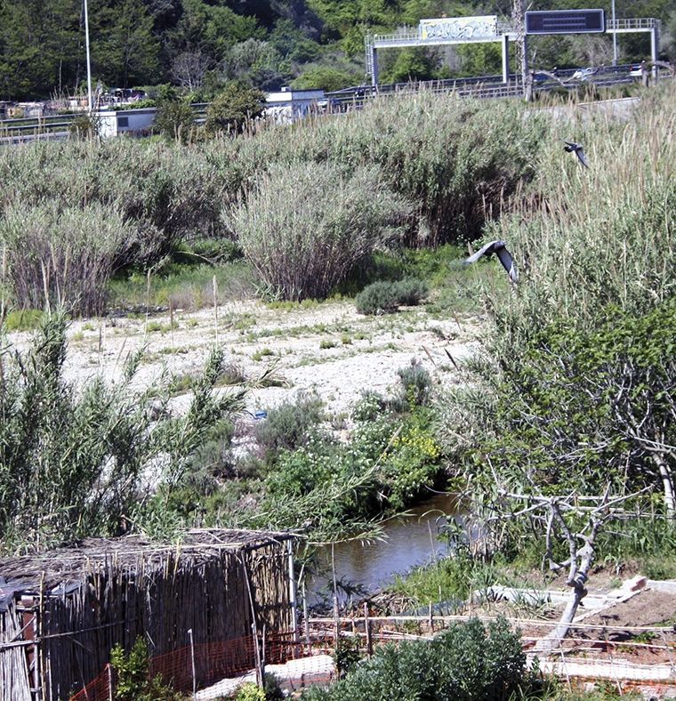 274f1bf2bd18e7f0d33d6244e658426e