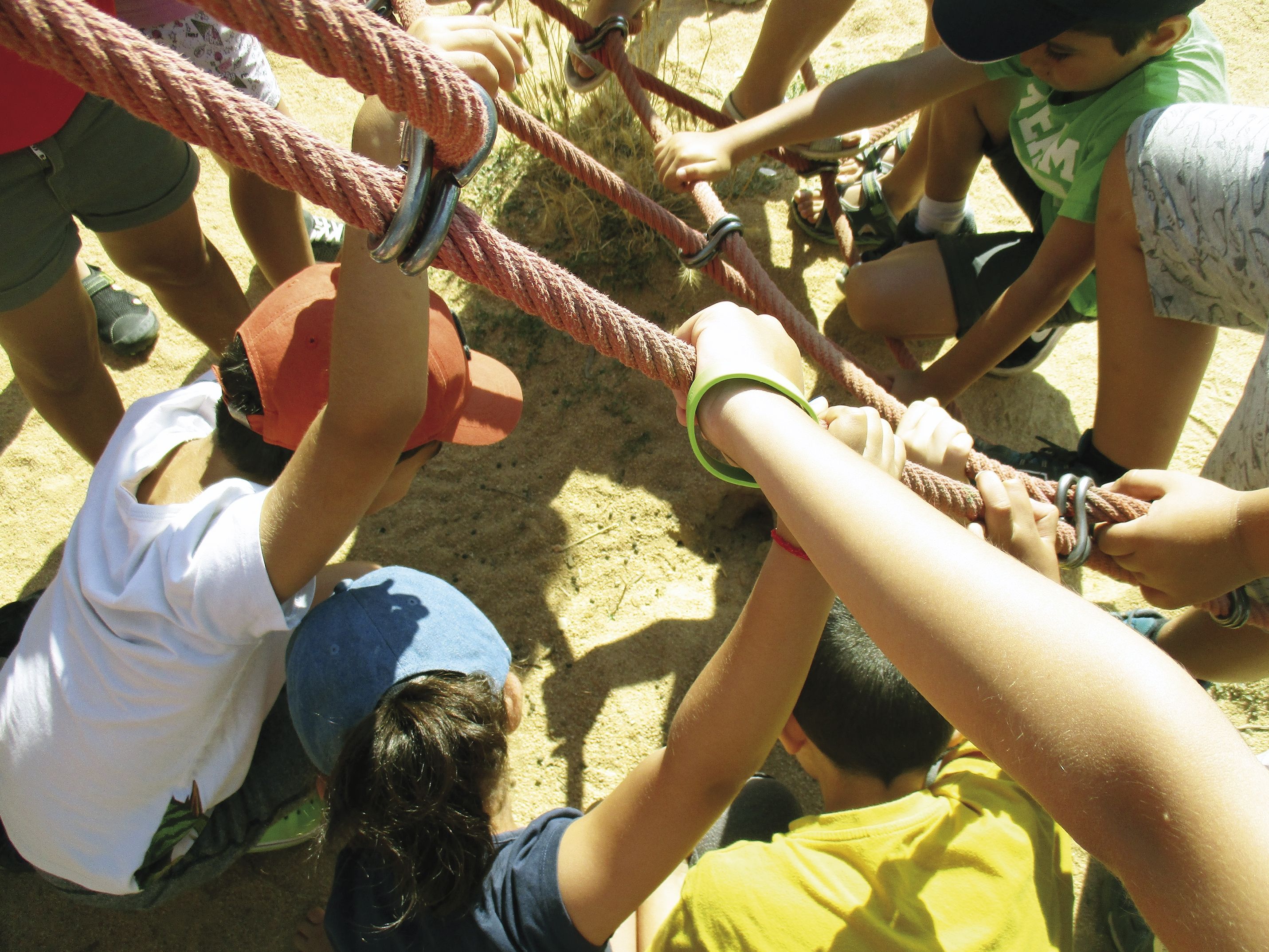 d7115f2e533cc8bcf91823021f4ba6a2