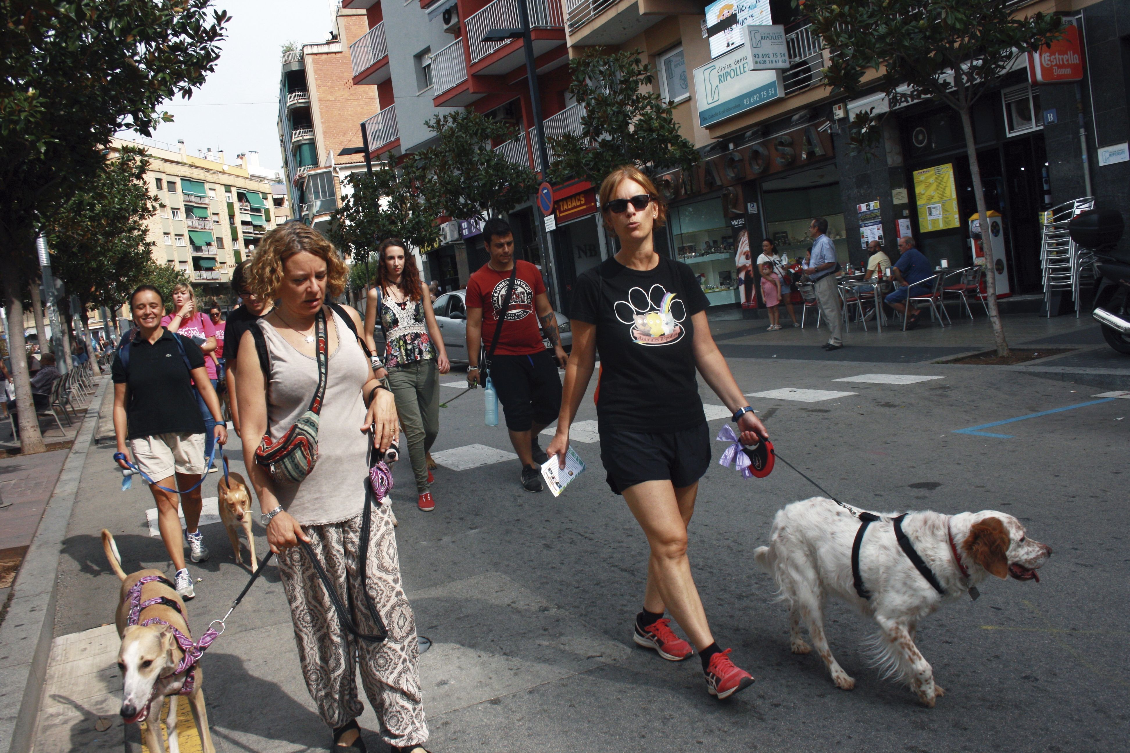 51fccc7d7519fea84c85898572d90843