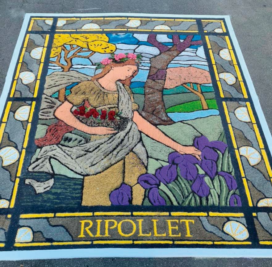 8 catifes IMG-20230923-WA0011 copia