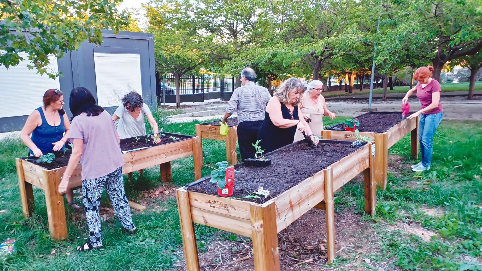 Un dels horts urbans de Ripollet. Foto: Ripollet Natura 