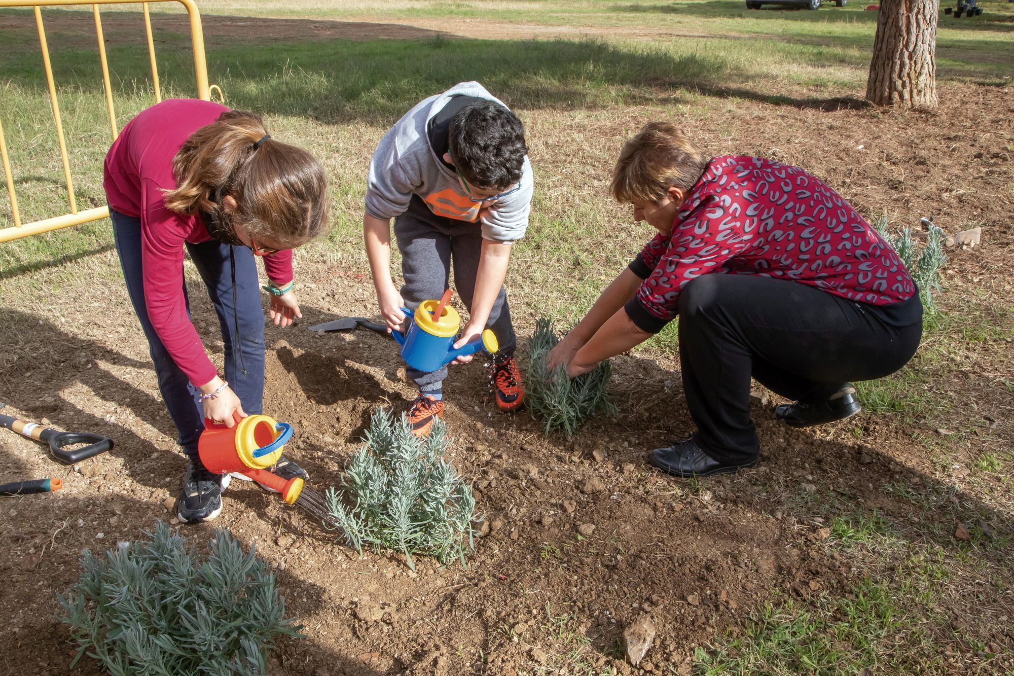 Arrela’t al Parc dels Pinetons