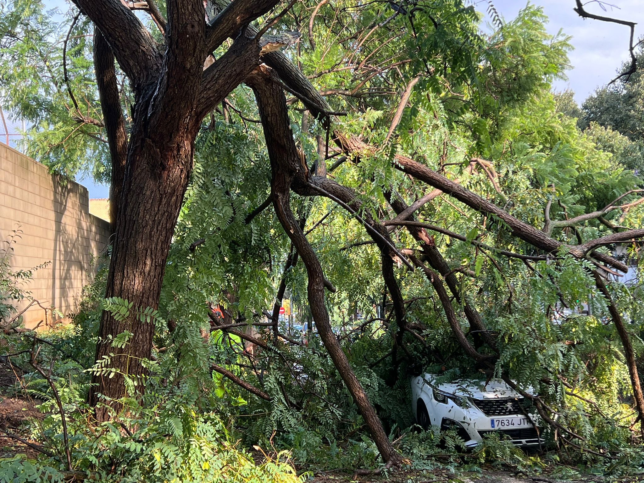 Efectes de la forta tempesta del passat mes de setembre a Ripollet. Foto: Marc Mata