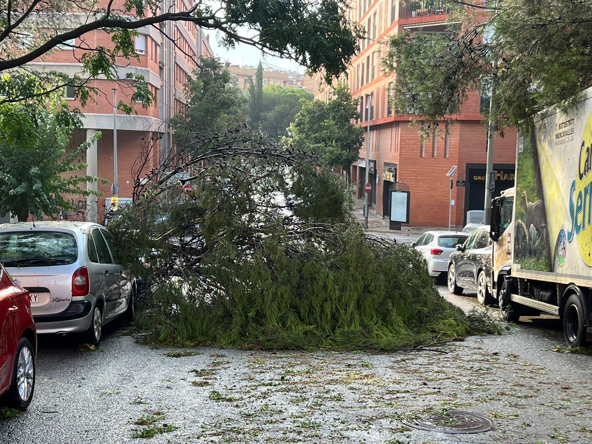Efectes de la forta tempesta del passat mes de setembre a Ripollet. Foto: Marc Mata