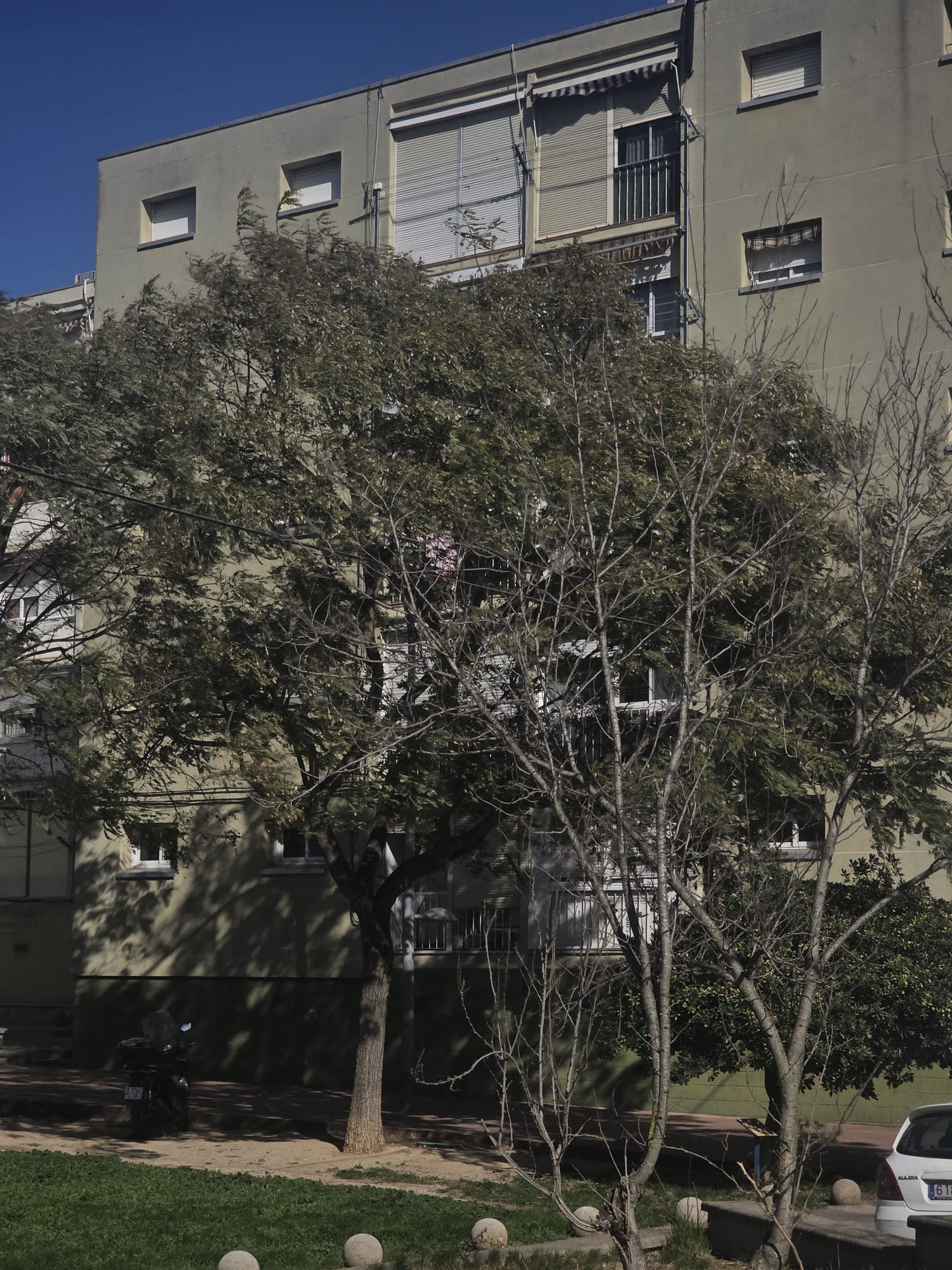 Episodi de vent a Ripollet aquest dijous. FOTO: Marc Mata 