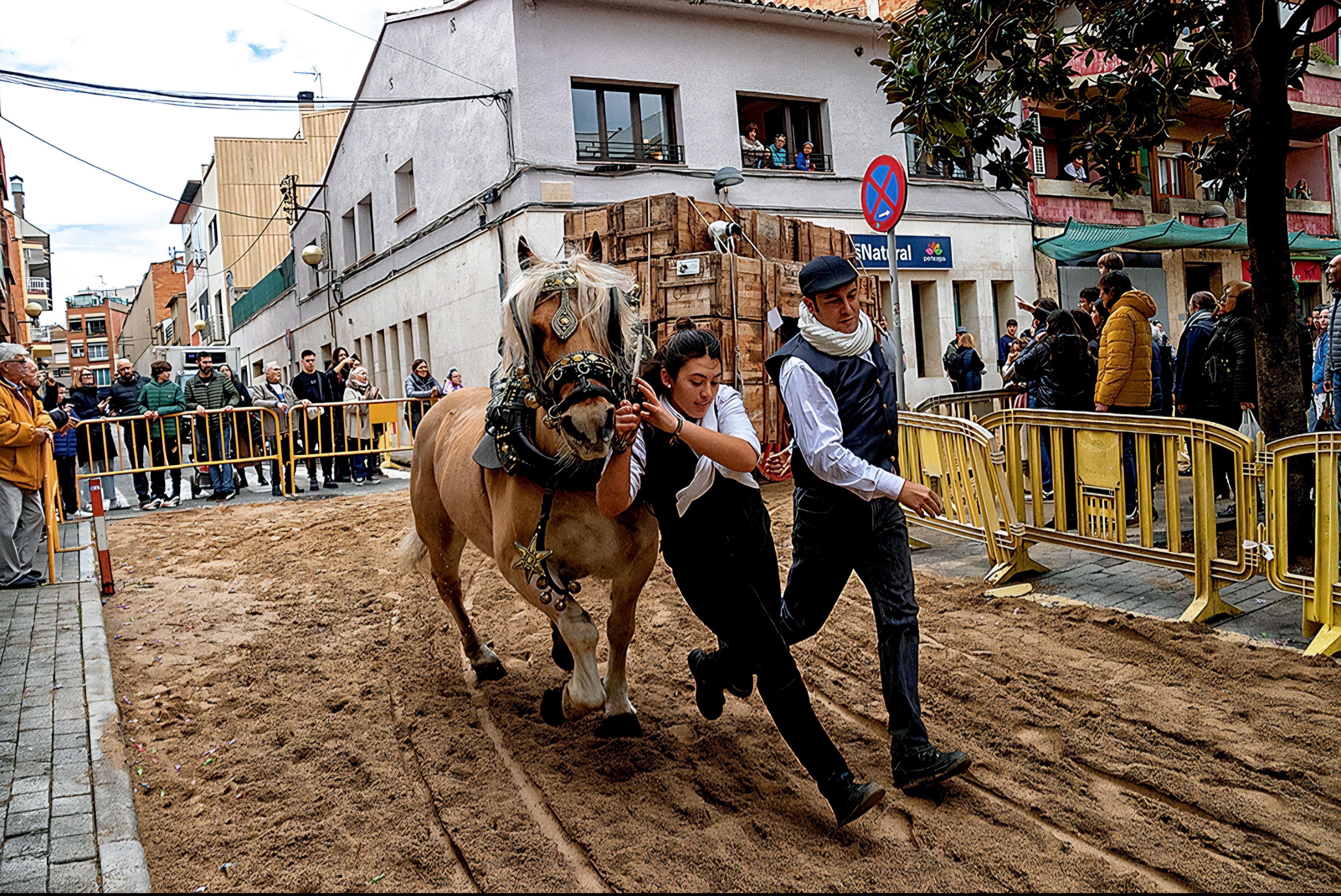 Passada Sant Antoni Abat, premi Medalla OR FCF. Foto: Sergio Galan (Cedida per AFR)