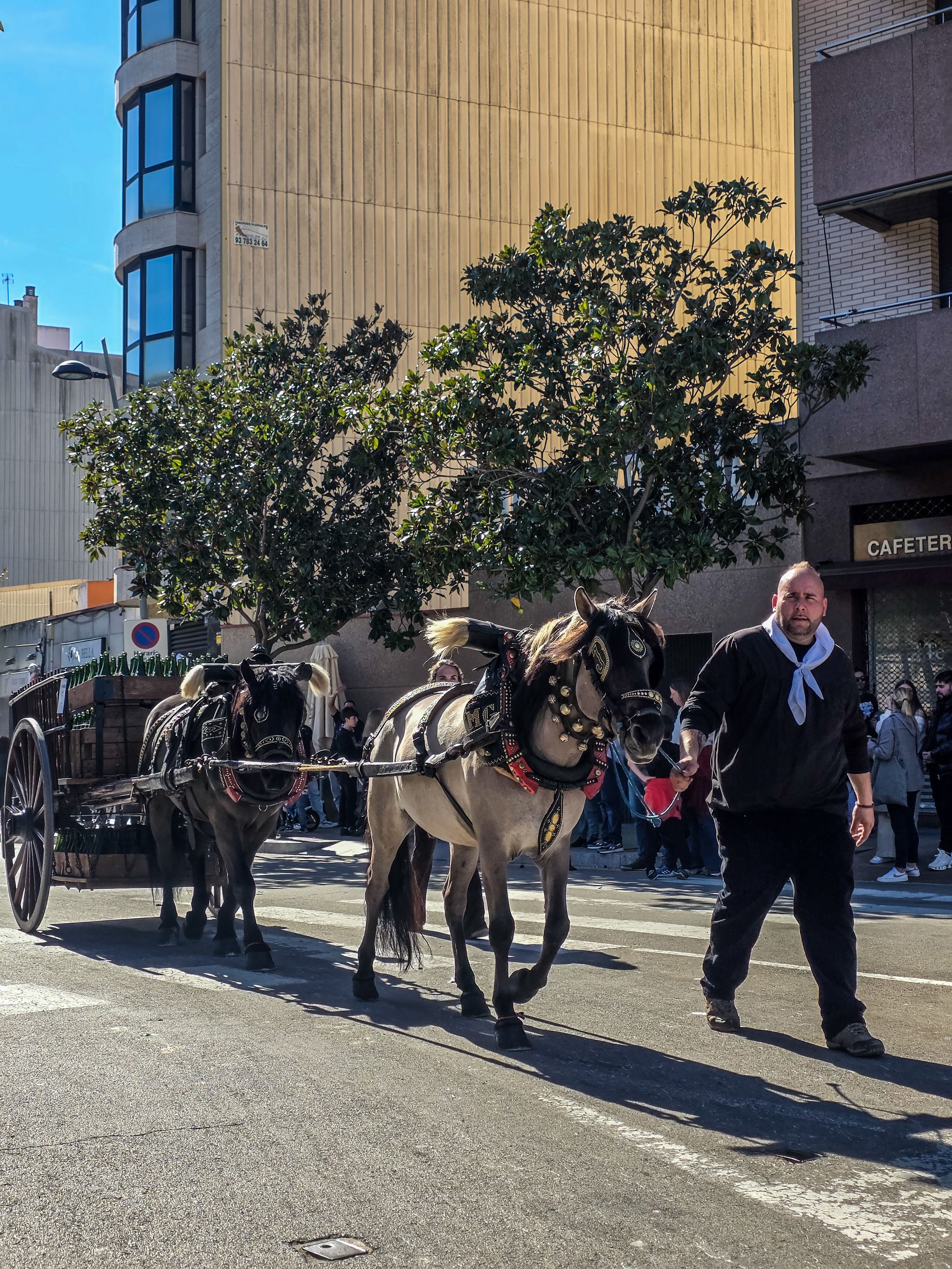 Passada dels Tres Tombs pels carrers de Ripollet. FOTO: Marc Mata