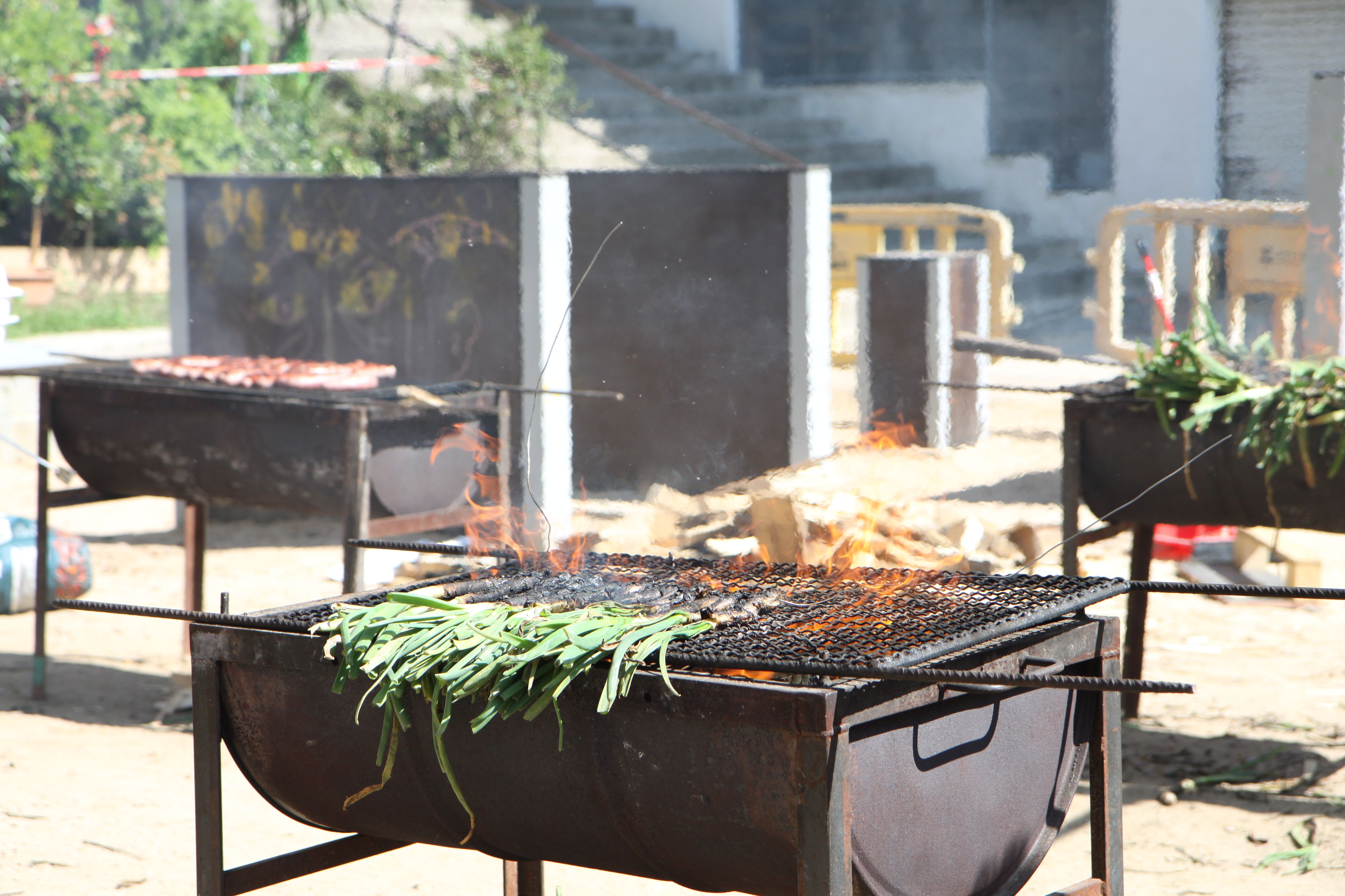 Calçots al foc pel dinar popular. Foto: Laia Jubany
