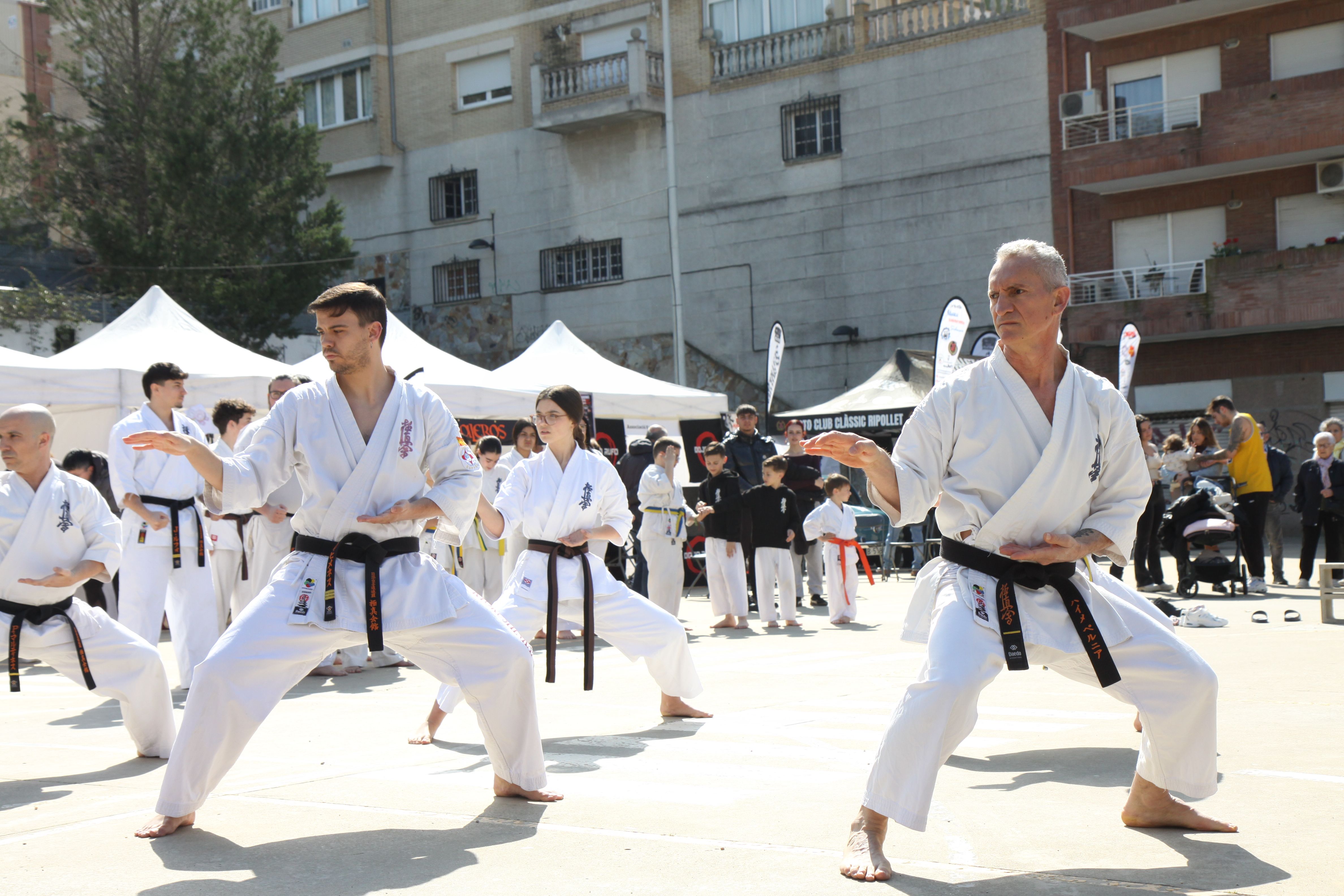 El club de karate Rufo ha fet una mostra de les habilitats dels seus karatekes. Foto: Laia Jubany