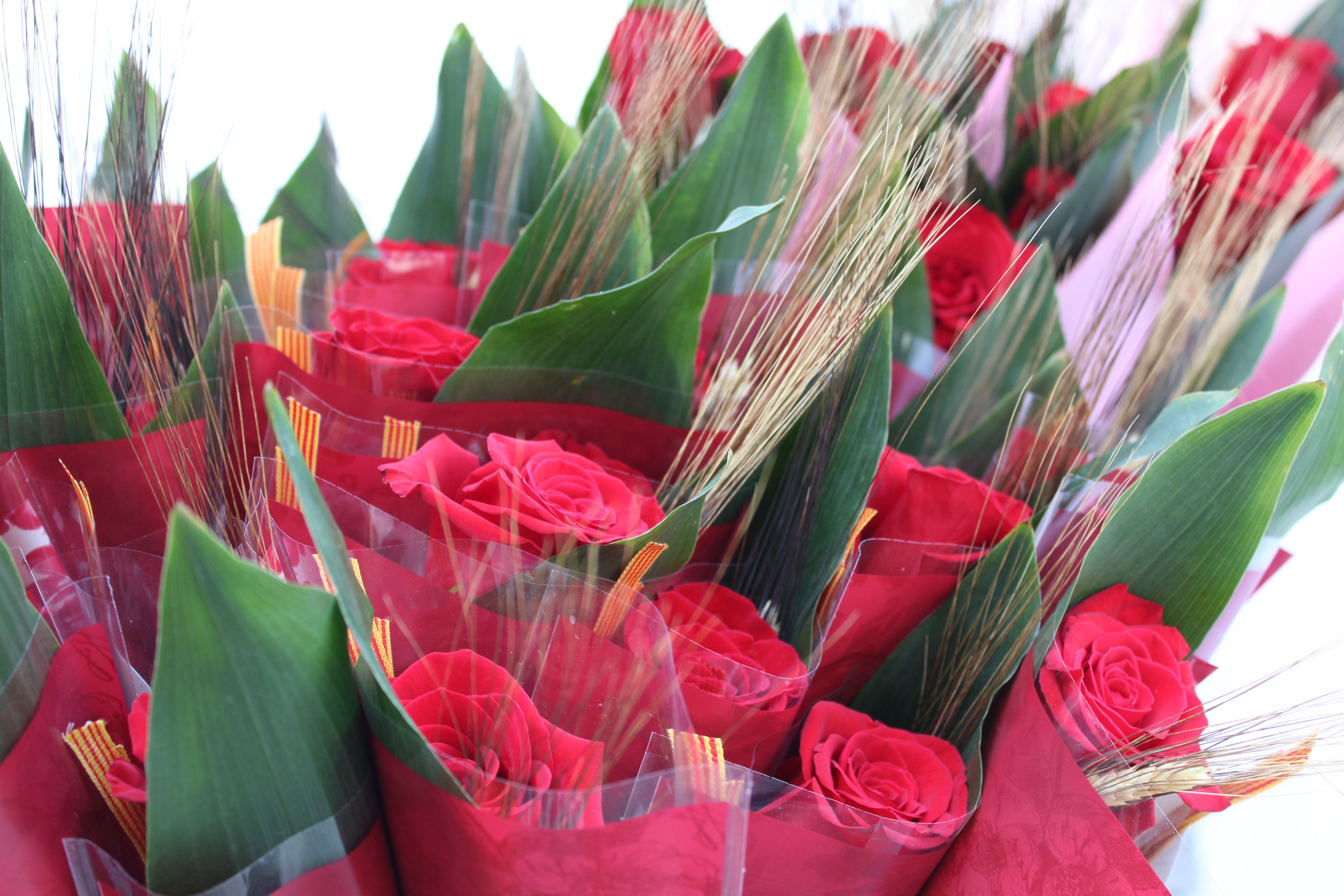 Roses i llibres han omplert aquest dijous la plaça Pere Quart amb motiu de la diada de Sant Jordi. FOTO Sergio Sánchez (26)