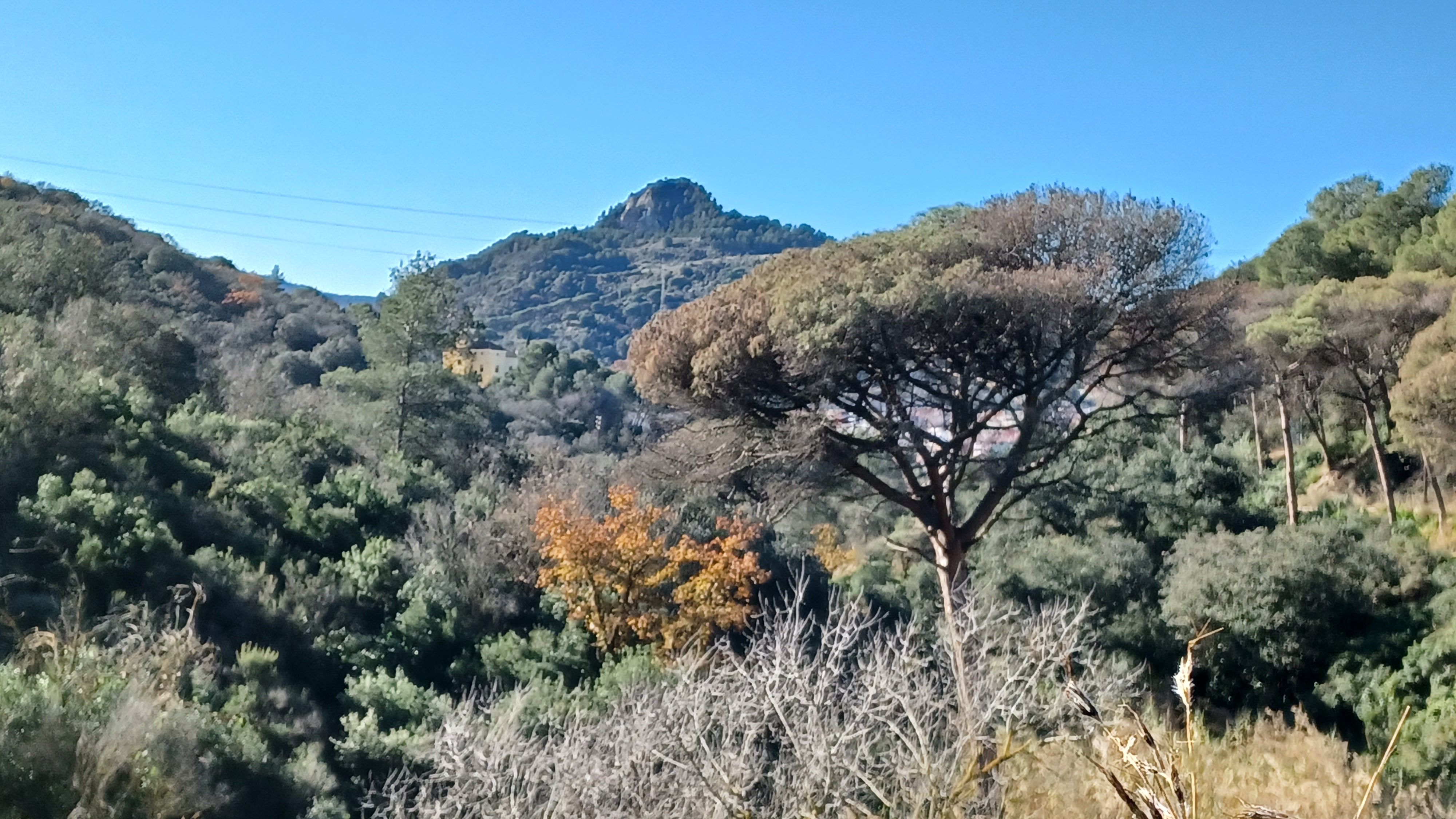 Turó de Montcada des de la Serra de Marina 