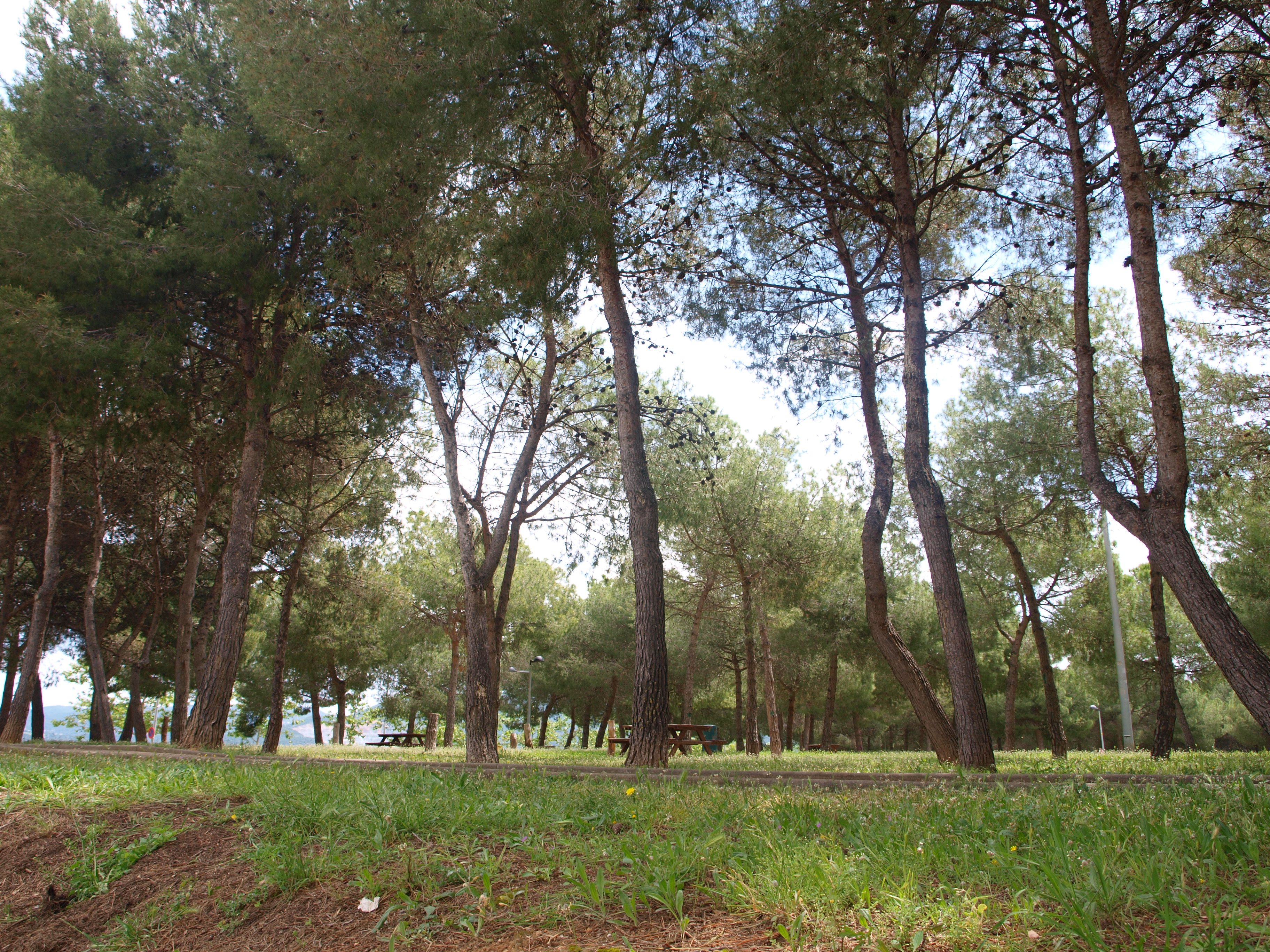 Una zona verda de Ripollet. Foto: Eloi Isern