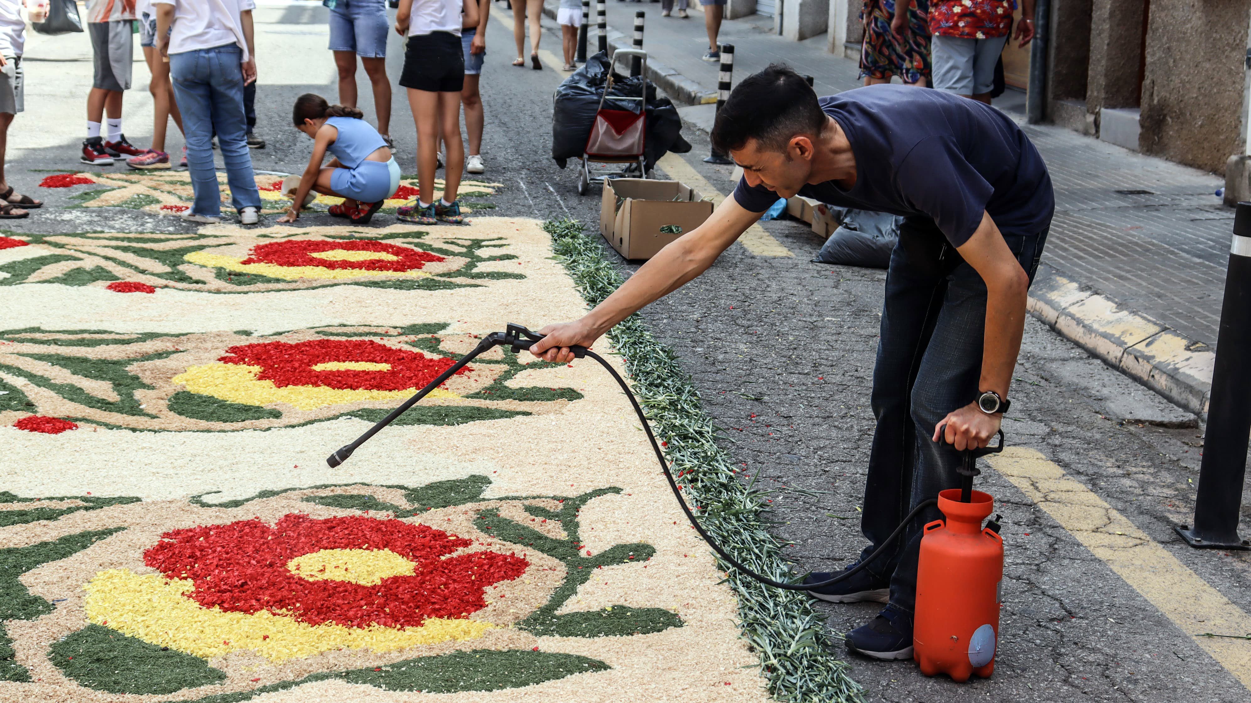 Ripollet es tenyeix de catifes de flors. FOTO: Marc Mata