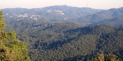 El Parc Natural de Collserola FOTO: Cedida