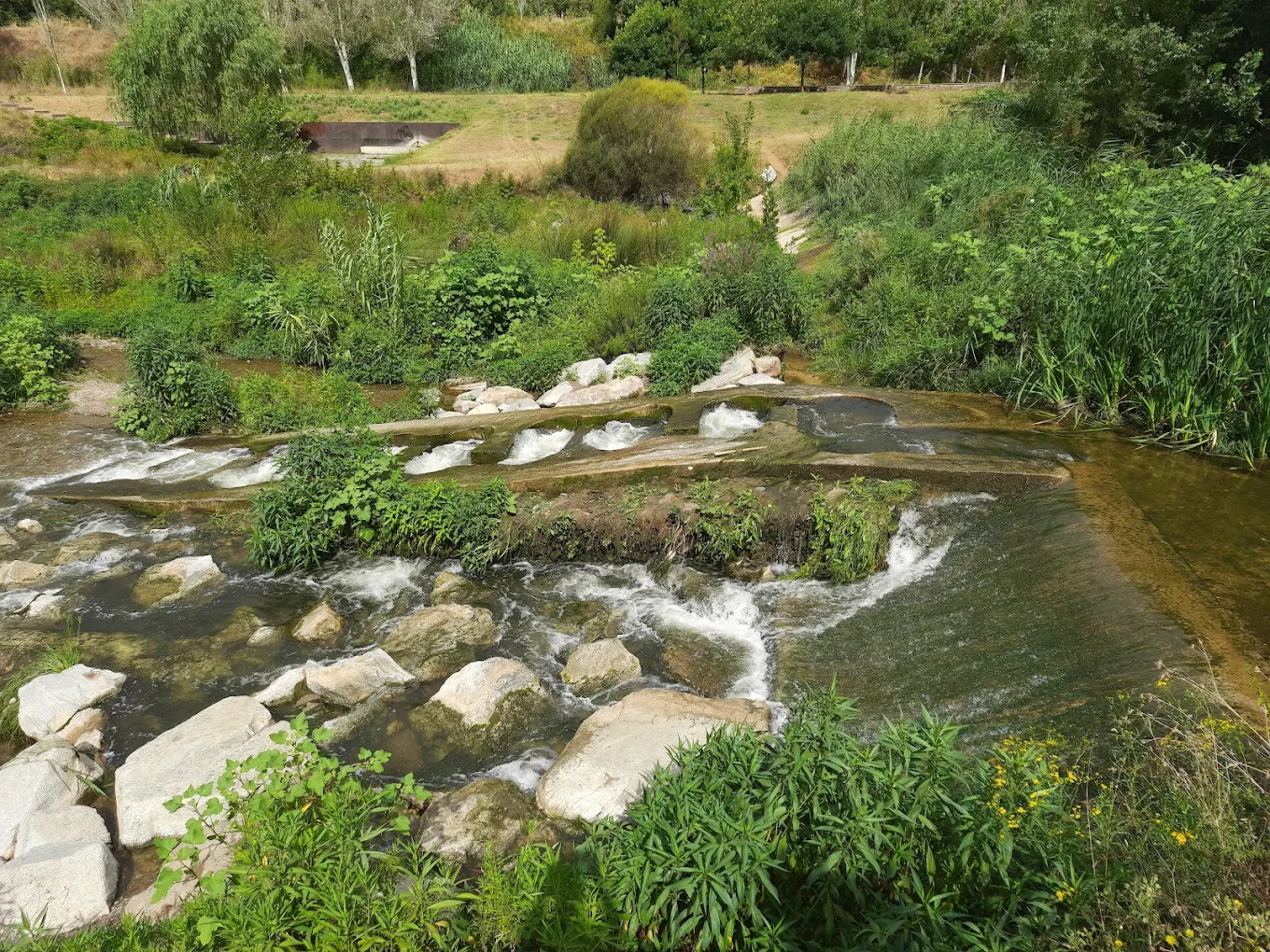 Riu Ripoll. FOTO: Cedida