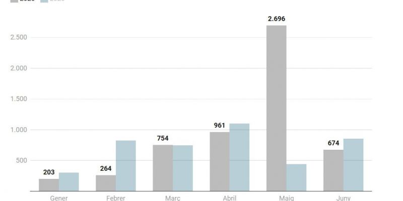 grafico 1 