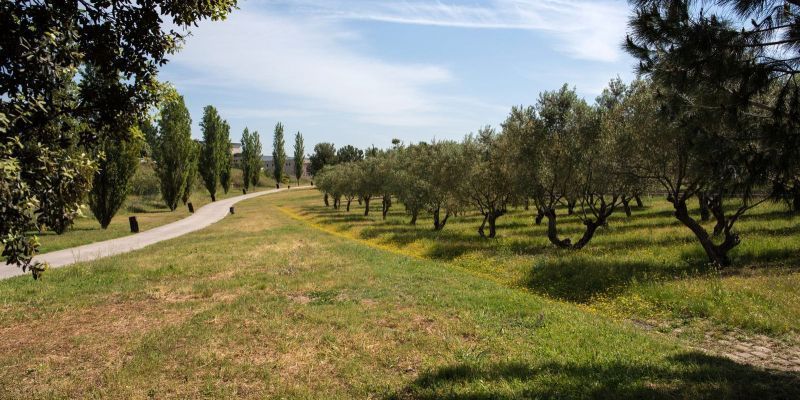 El Parc dels Pinetons a Ripollet. Foto: Arxiu