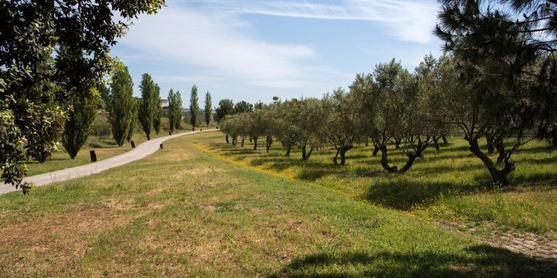 El Parc dels Pinetons a Ripollet. Foto: Arxiu