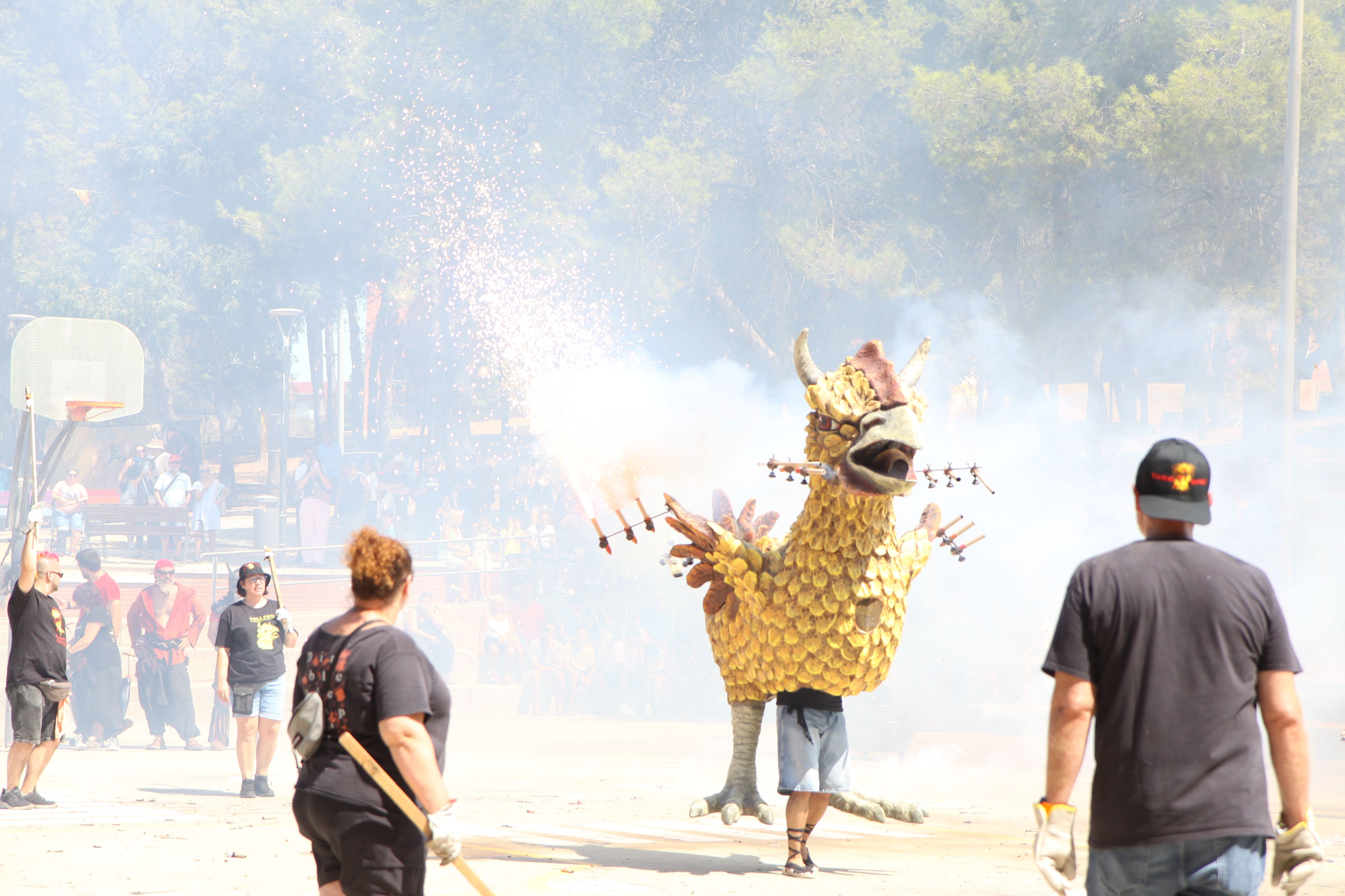 El Poll Foll ha atret totes les mirades durant el ball de lluiment. Foto: Laia Jubany